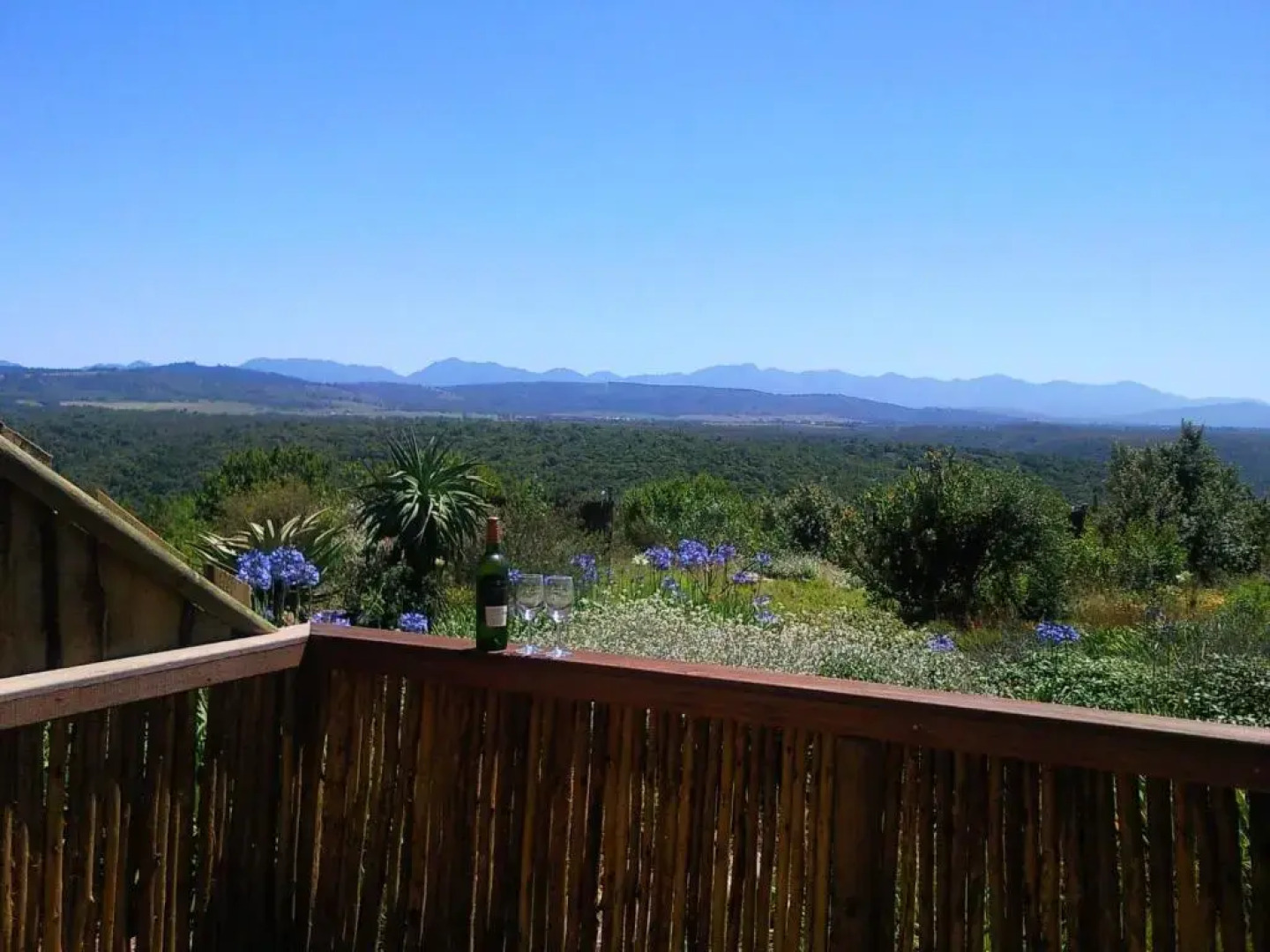 Protea Wilds Retreat