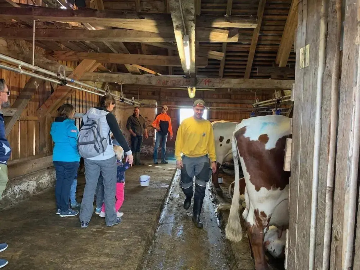 Chalets Und Apartments Hauserhof