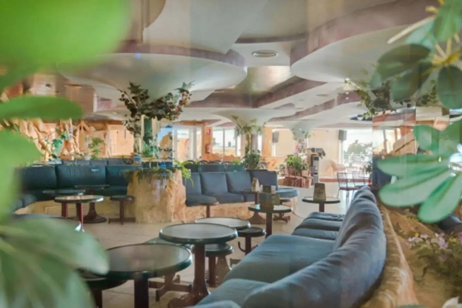KAKTUS Hotel Benikaktus