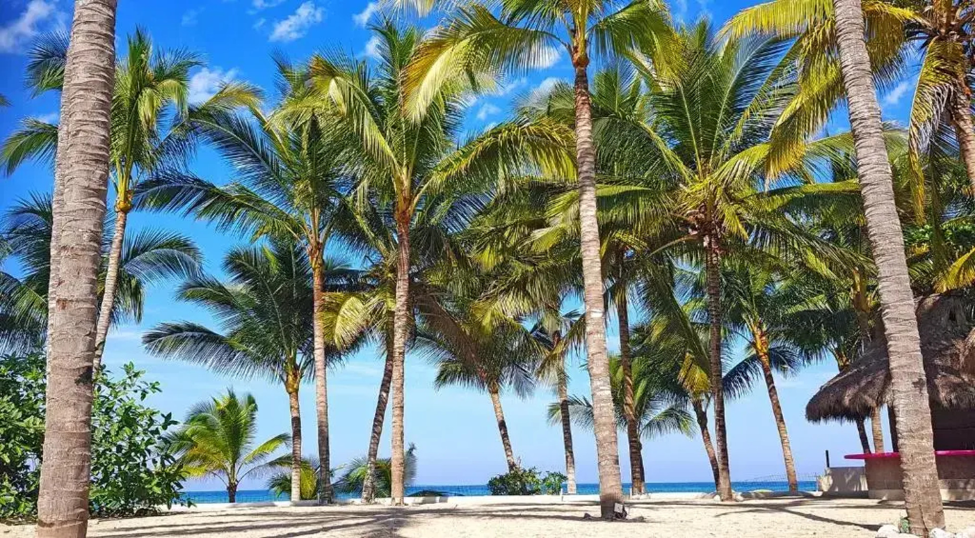 AzulPitaya Beach Resort in Sayulita