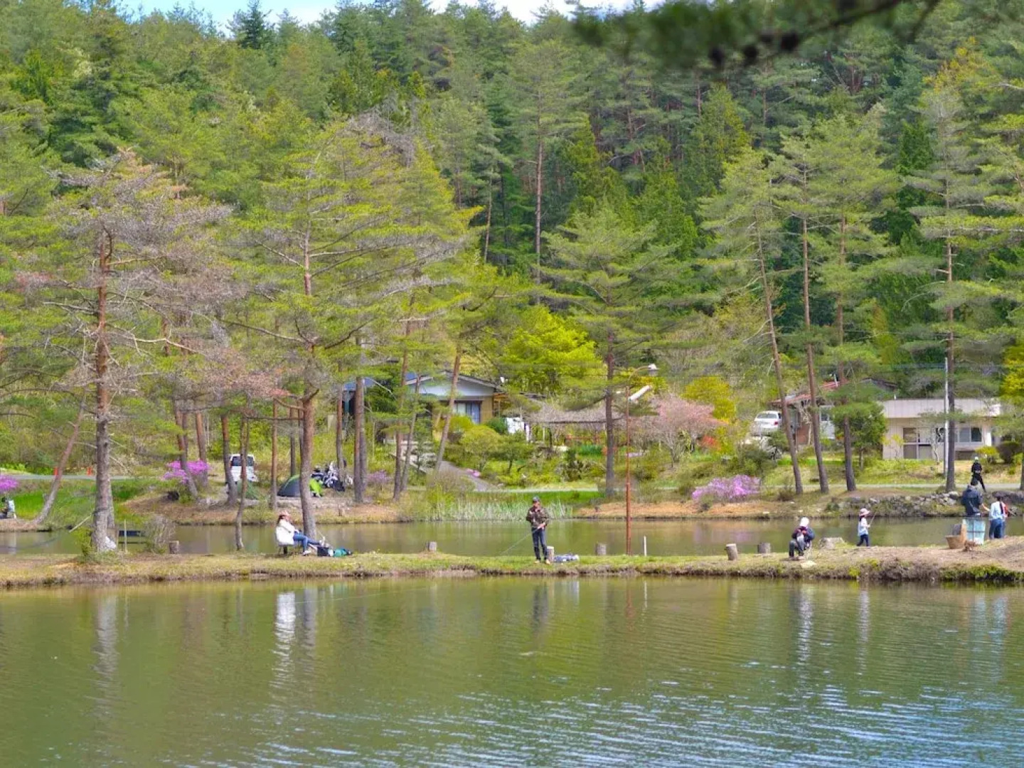 Oogute Kohan Shirasagi So