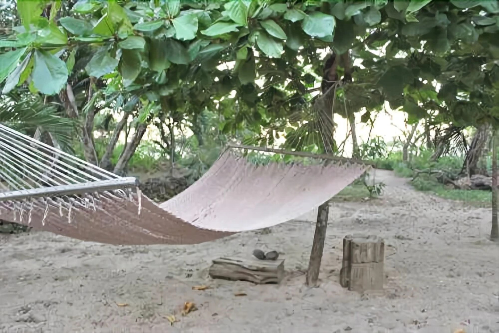 Beachfront Houses for Rent