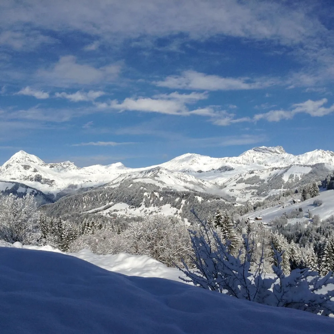 Chalets Savoie