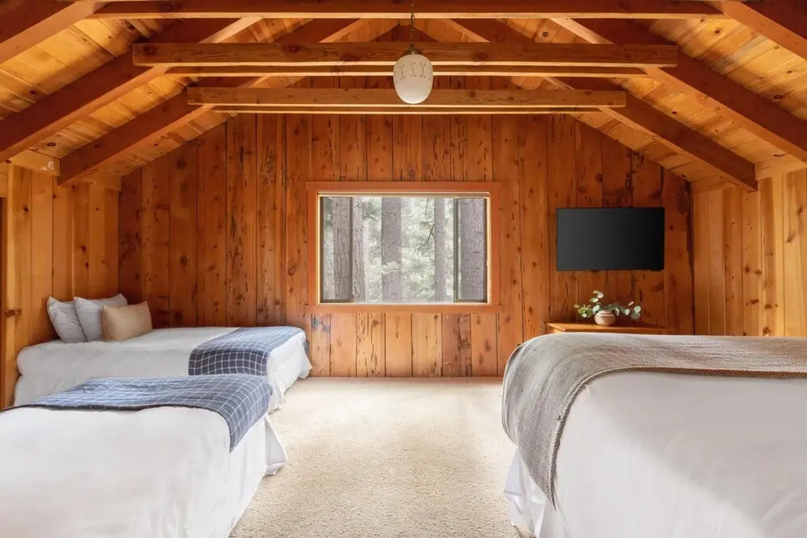 Pineland Criterion 66 -