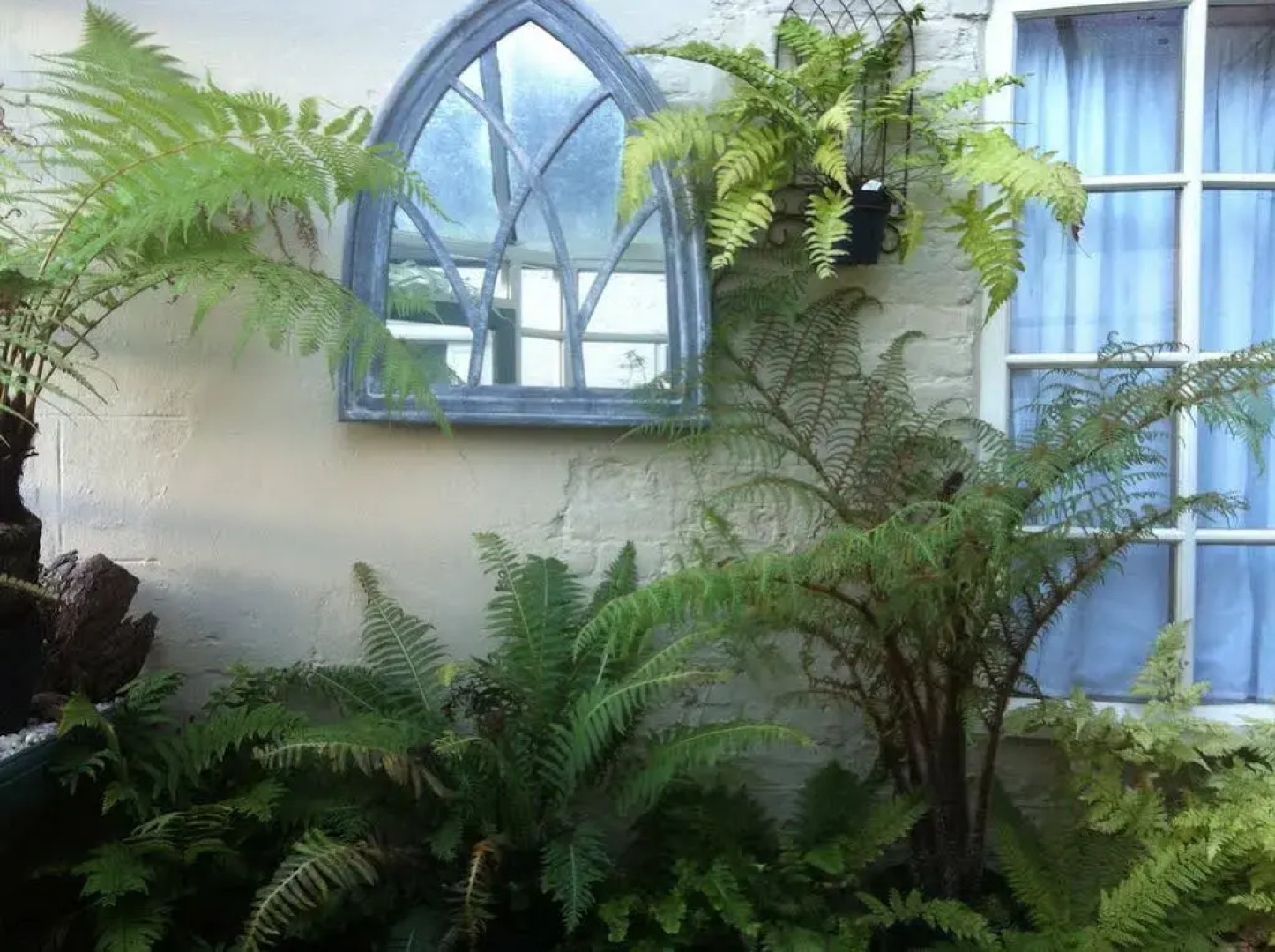 Orchard Club - Newton House