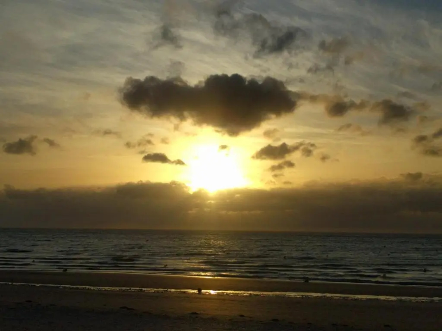 "Le Cocon d'Estelle" Grand Studio vue mer, 30m de la plage