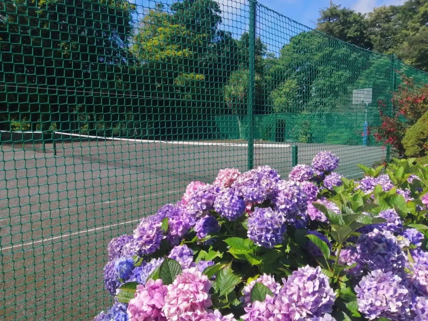 Waterford Castle Lodges