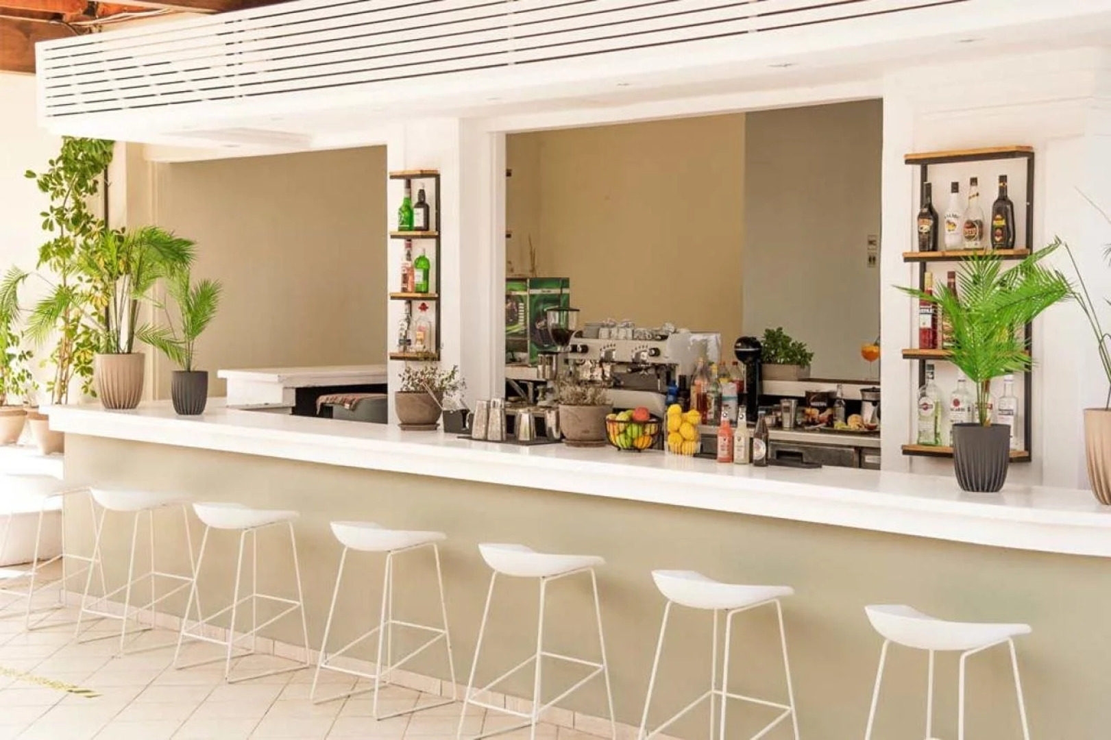 Olive Grove Beachfront Apartments & Suites