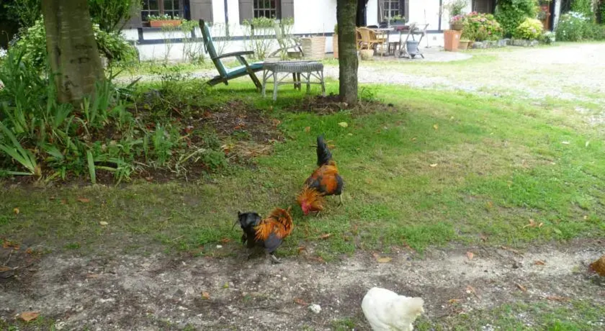 Chambres dHôtes Le Clos Pillon