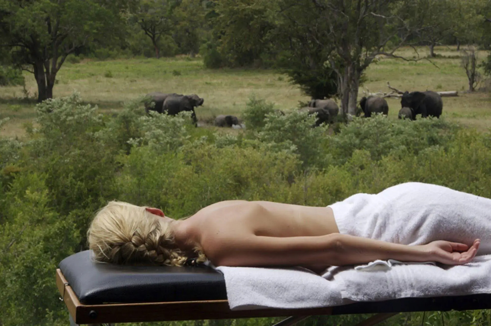 Elephant Plains Game Lodge