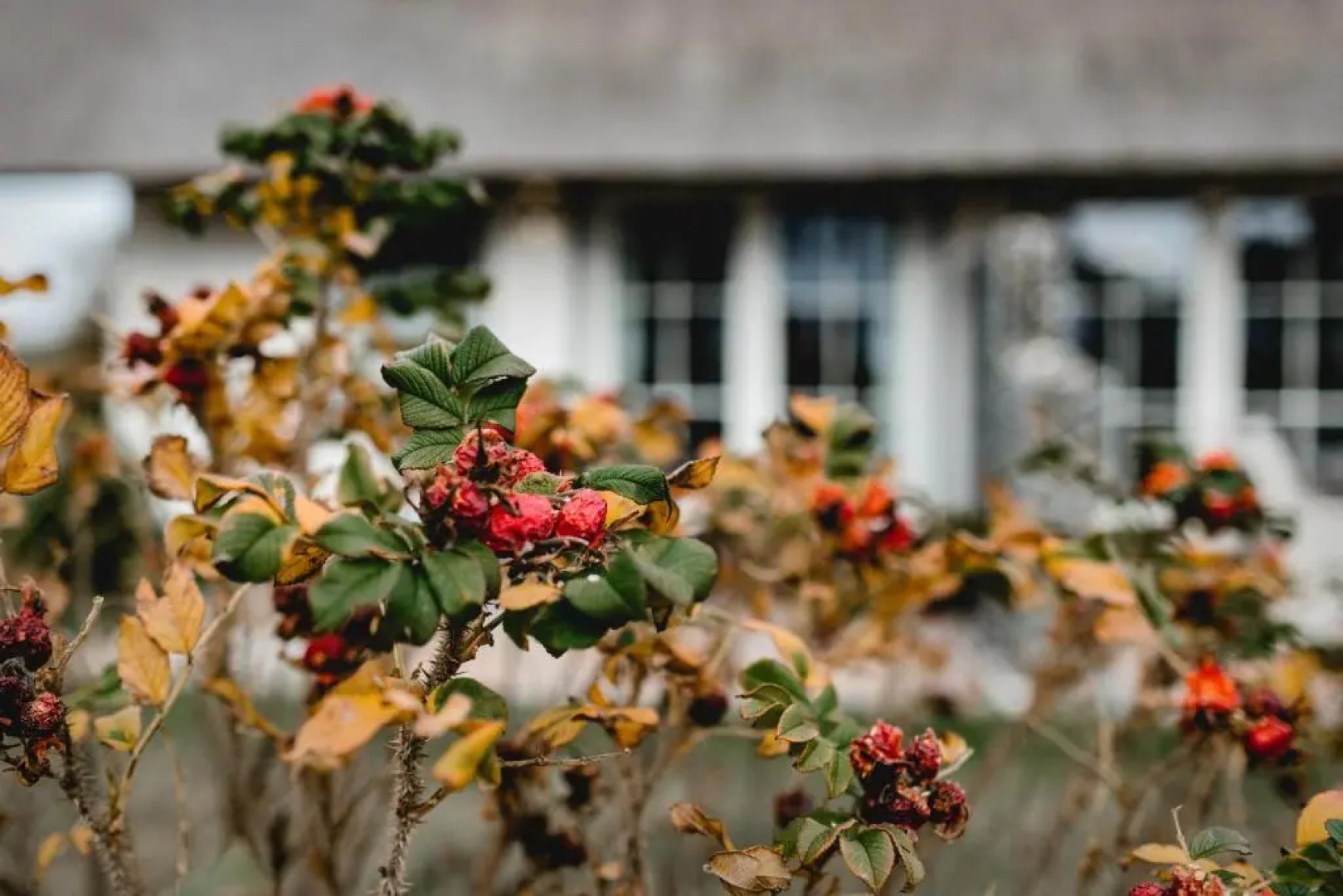 Ferienhaus Nordbrise