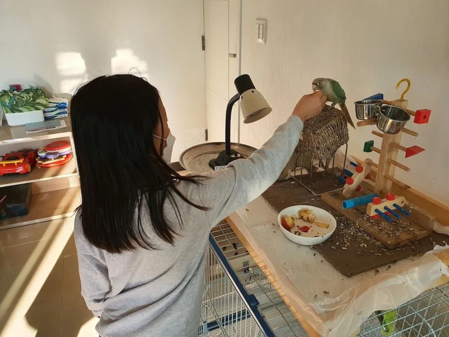 Forest of Color Pension