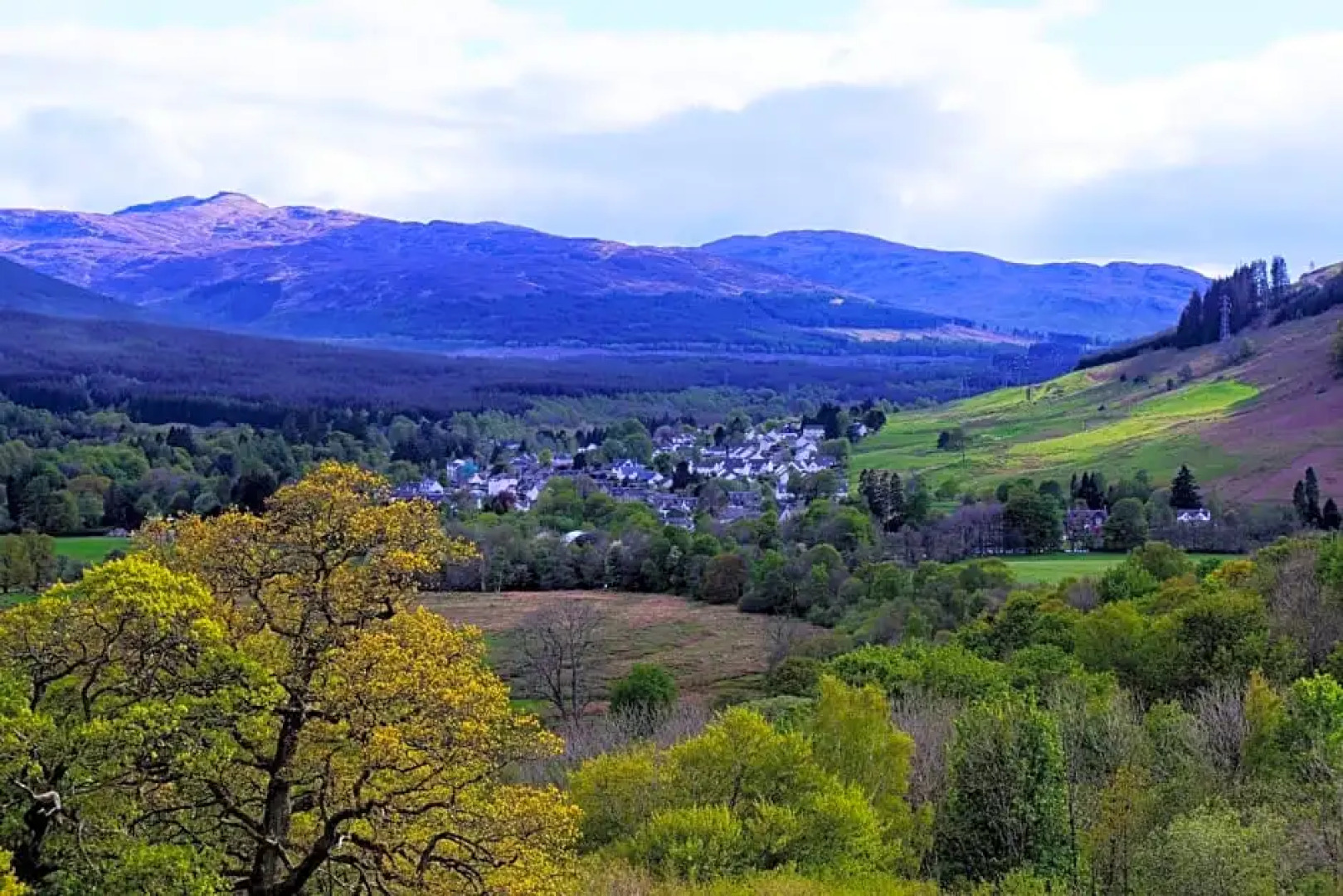 Cosy Rowan woodland lodge no3