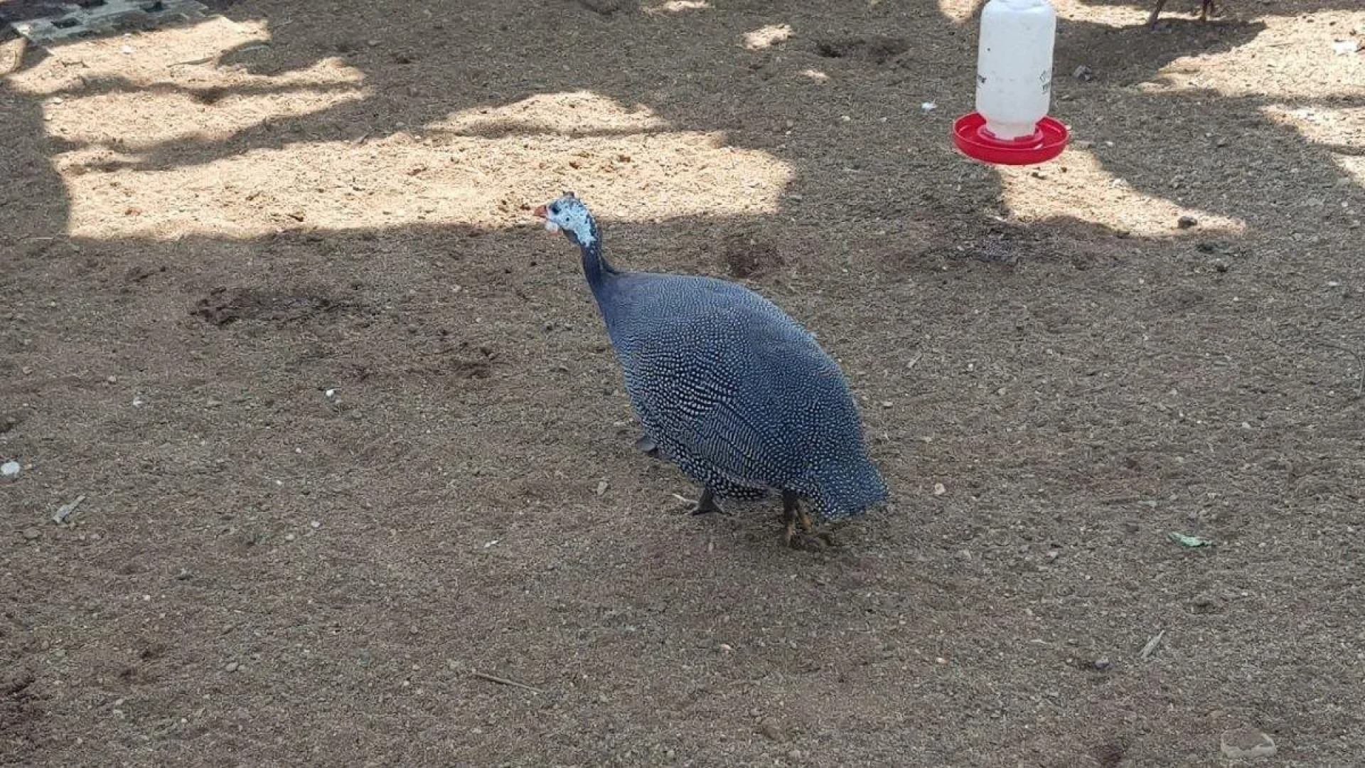 Grand Sunshine Resort & Convention