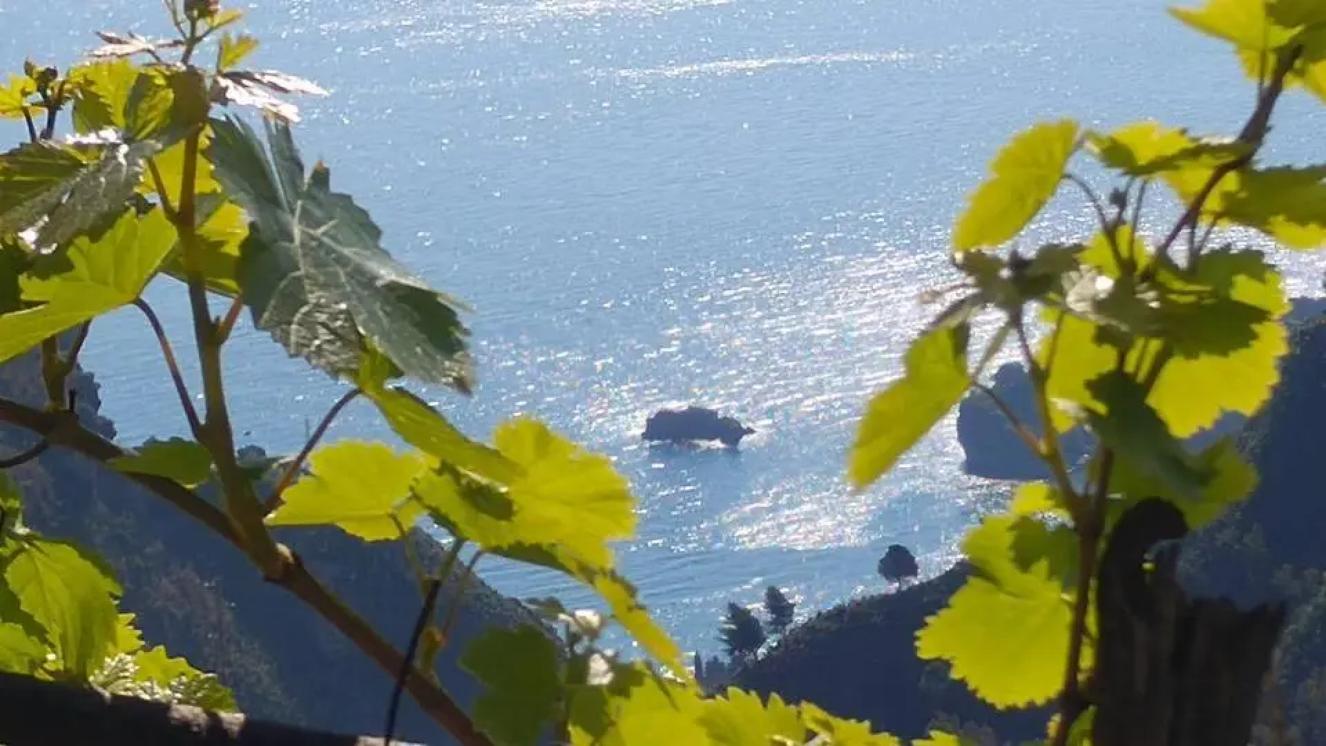 Casa Il Faro villa con piscina