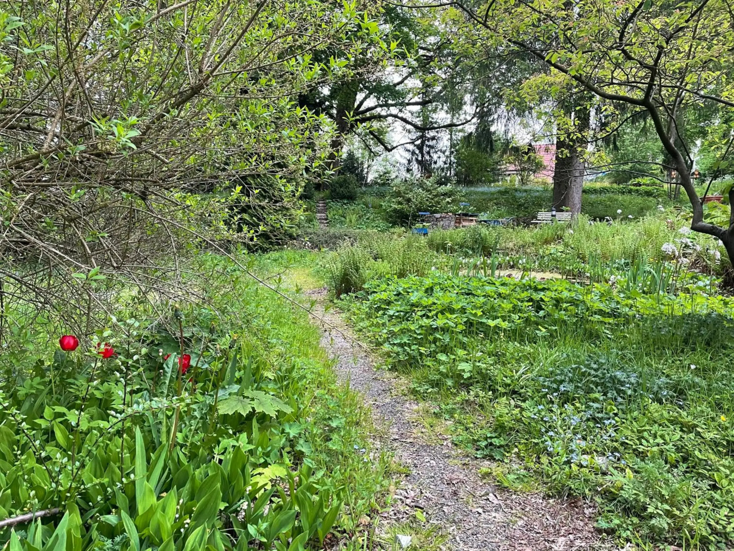 Liebevoll eingerichtetes Ferienhaus mit großem Garten