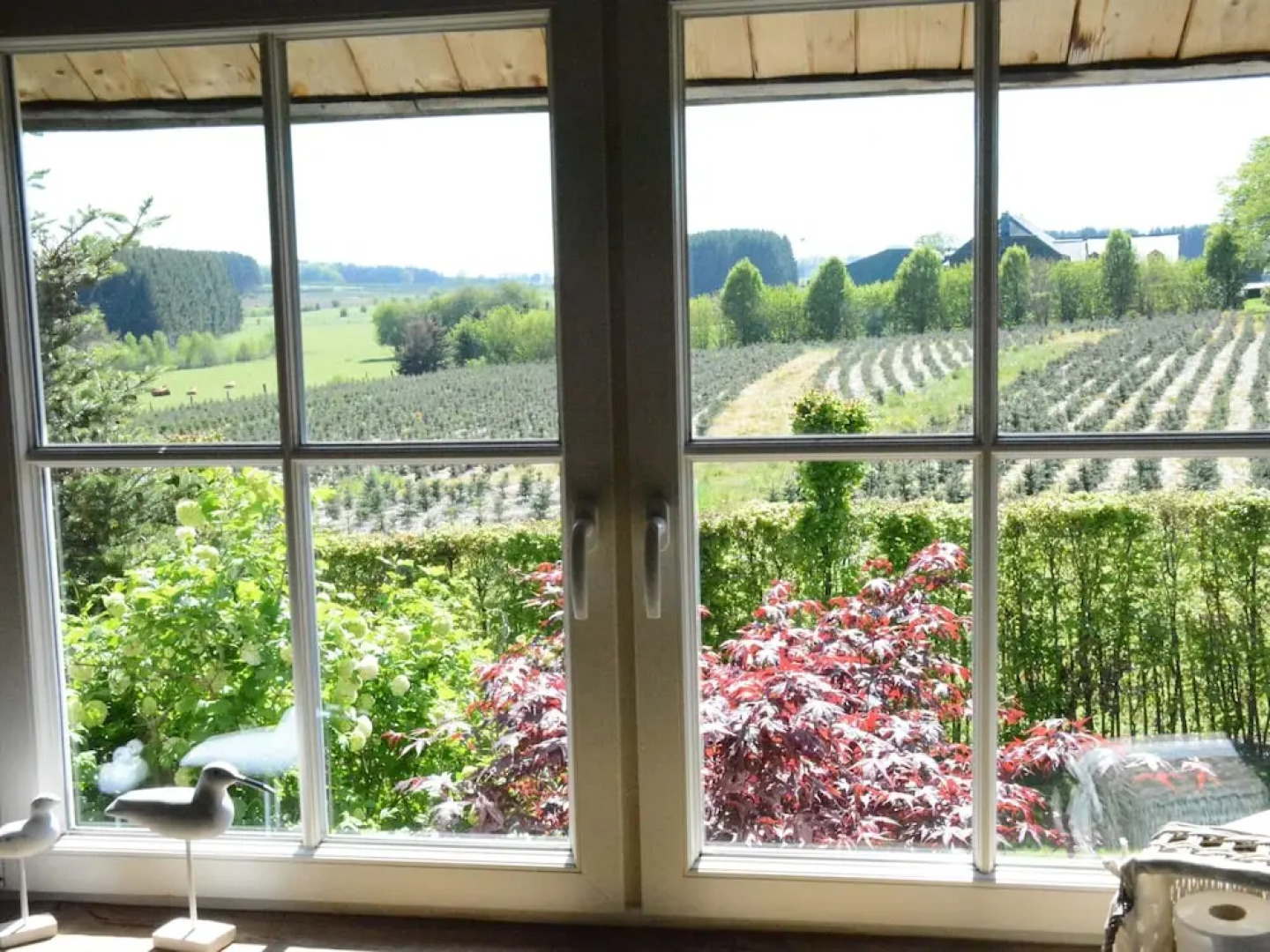 Forest Cottage, Jehonville