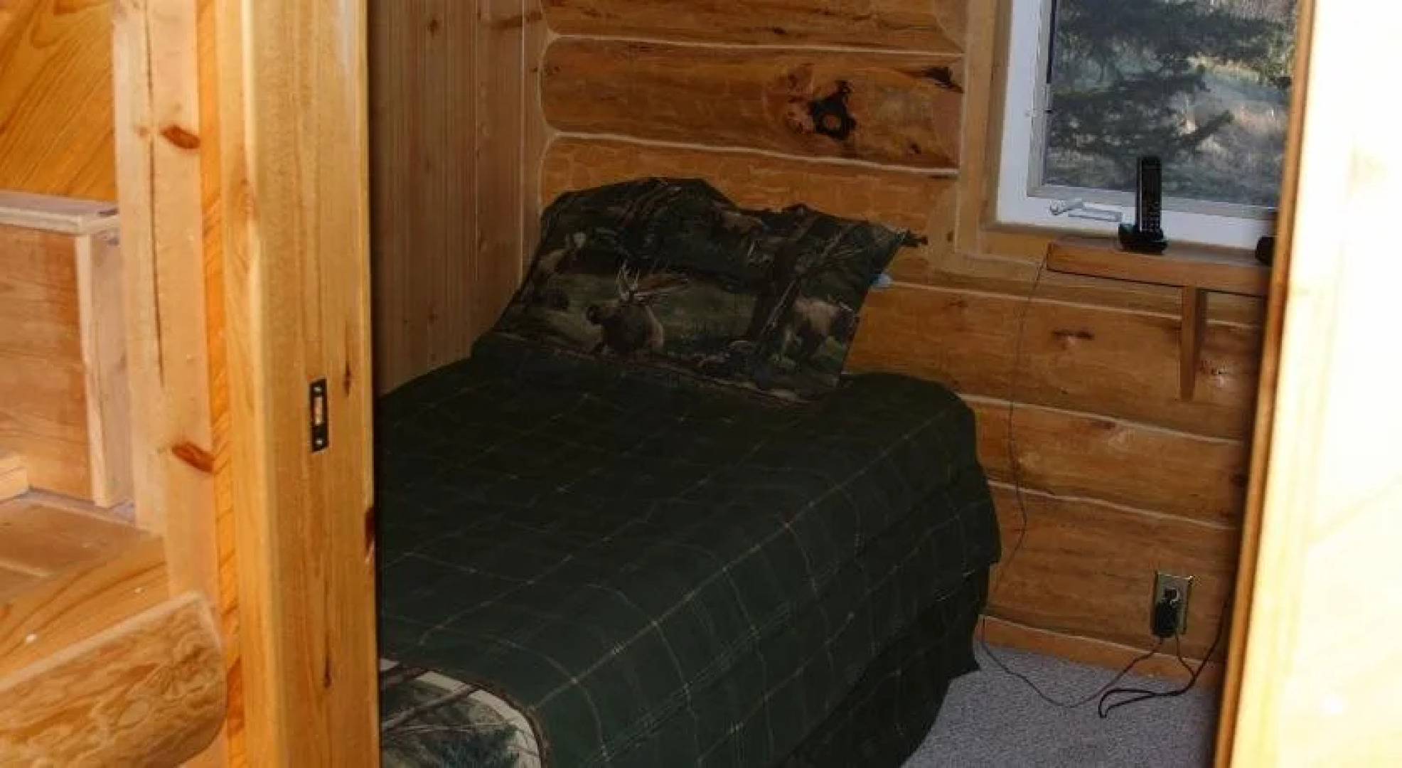Moose Cabin