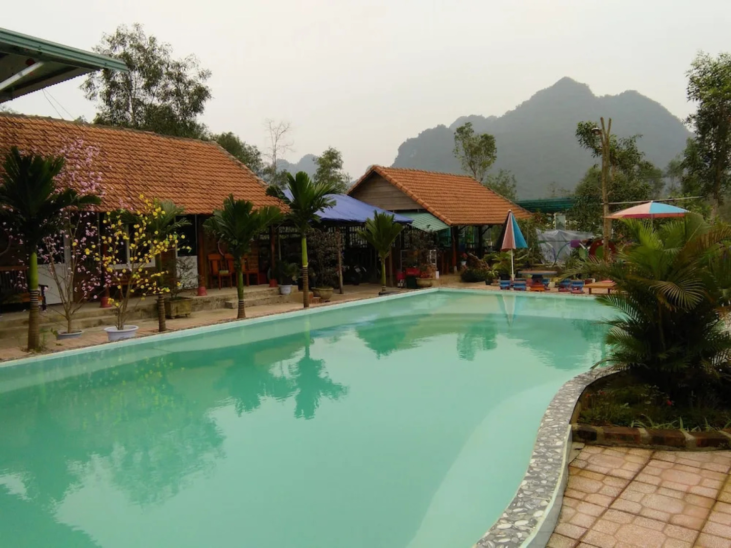 Tu Lan Homestay