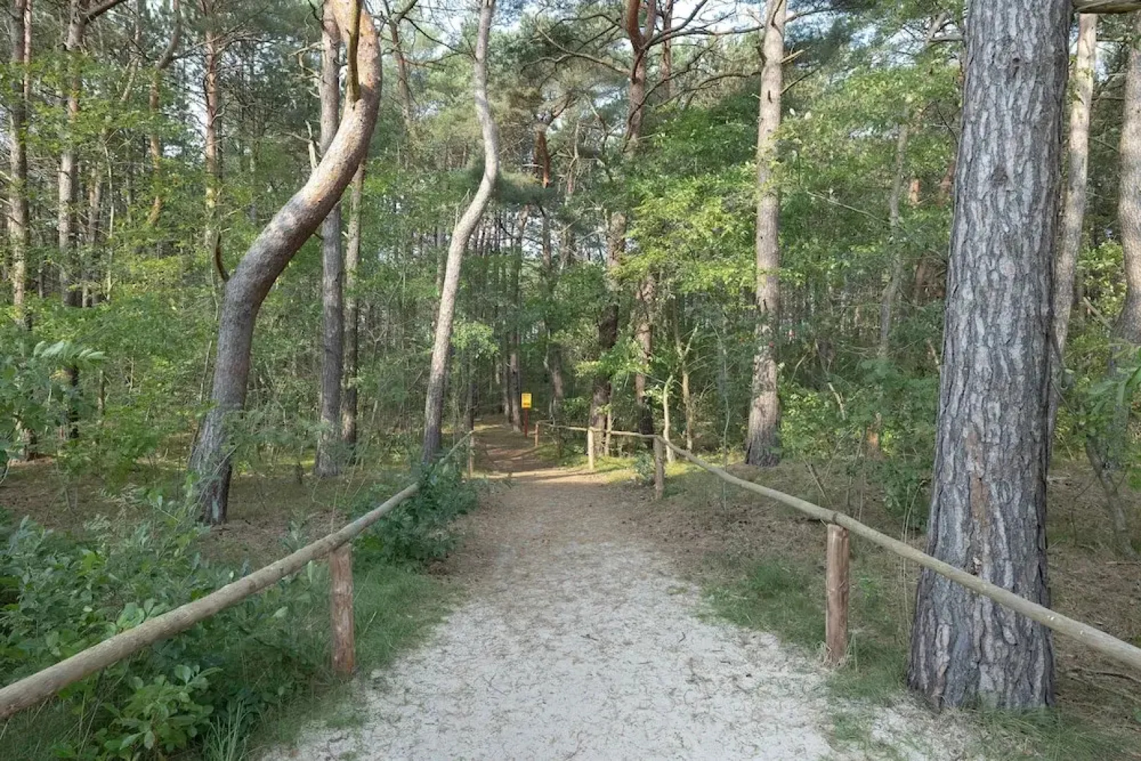 Rogowo Pearl Apartments by Renters