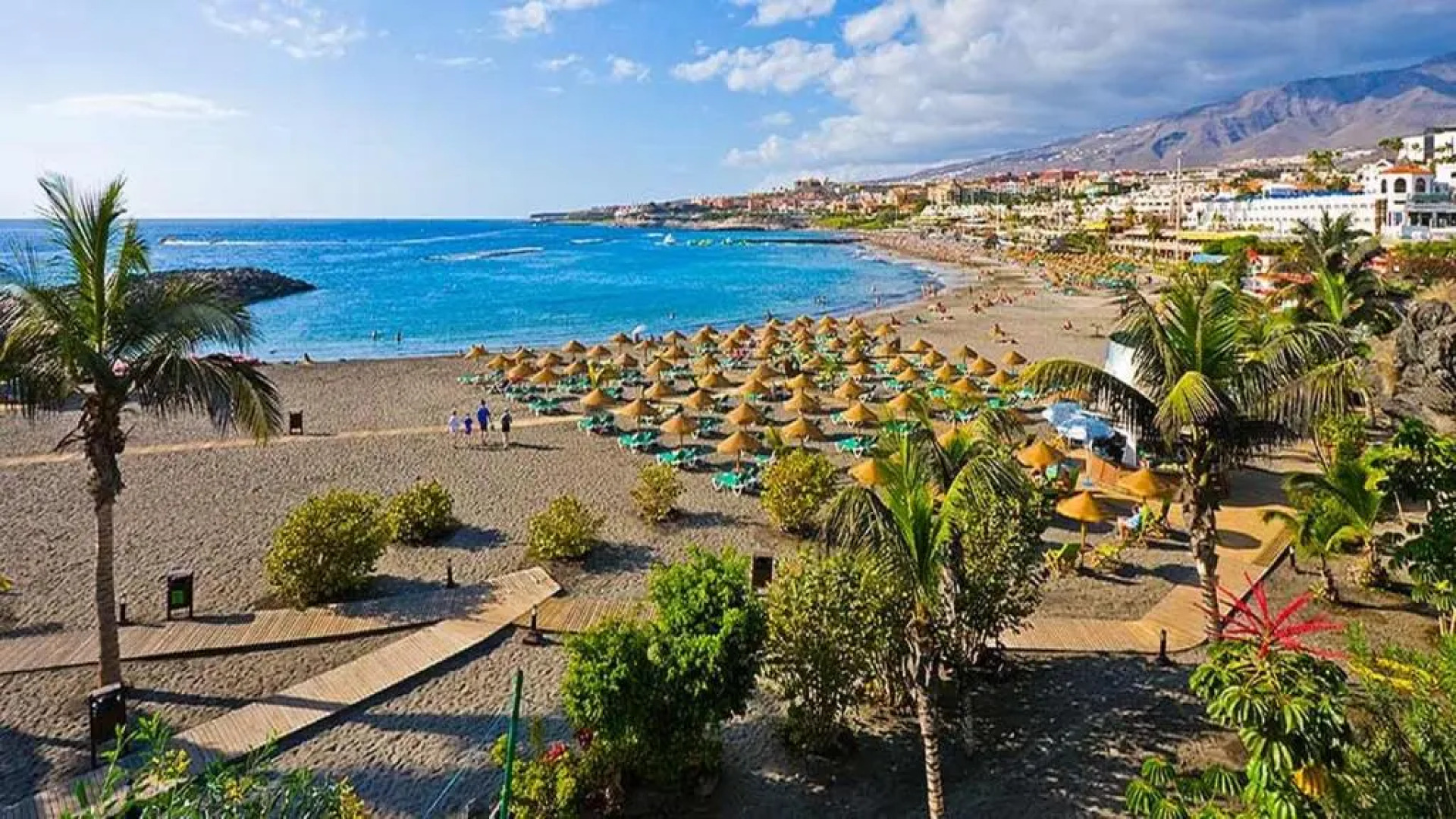 Magnific Las Americas view apartment