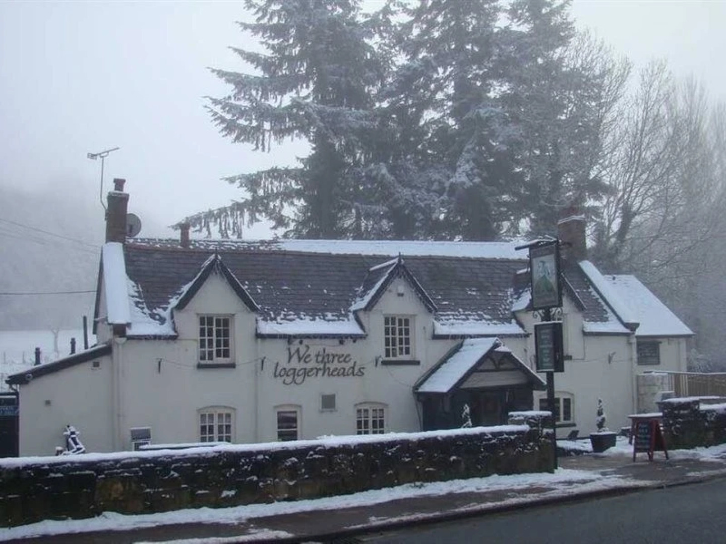 We Three Loggerheads