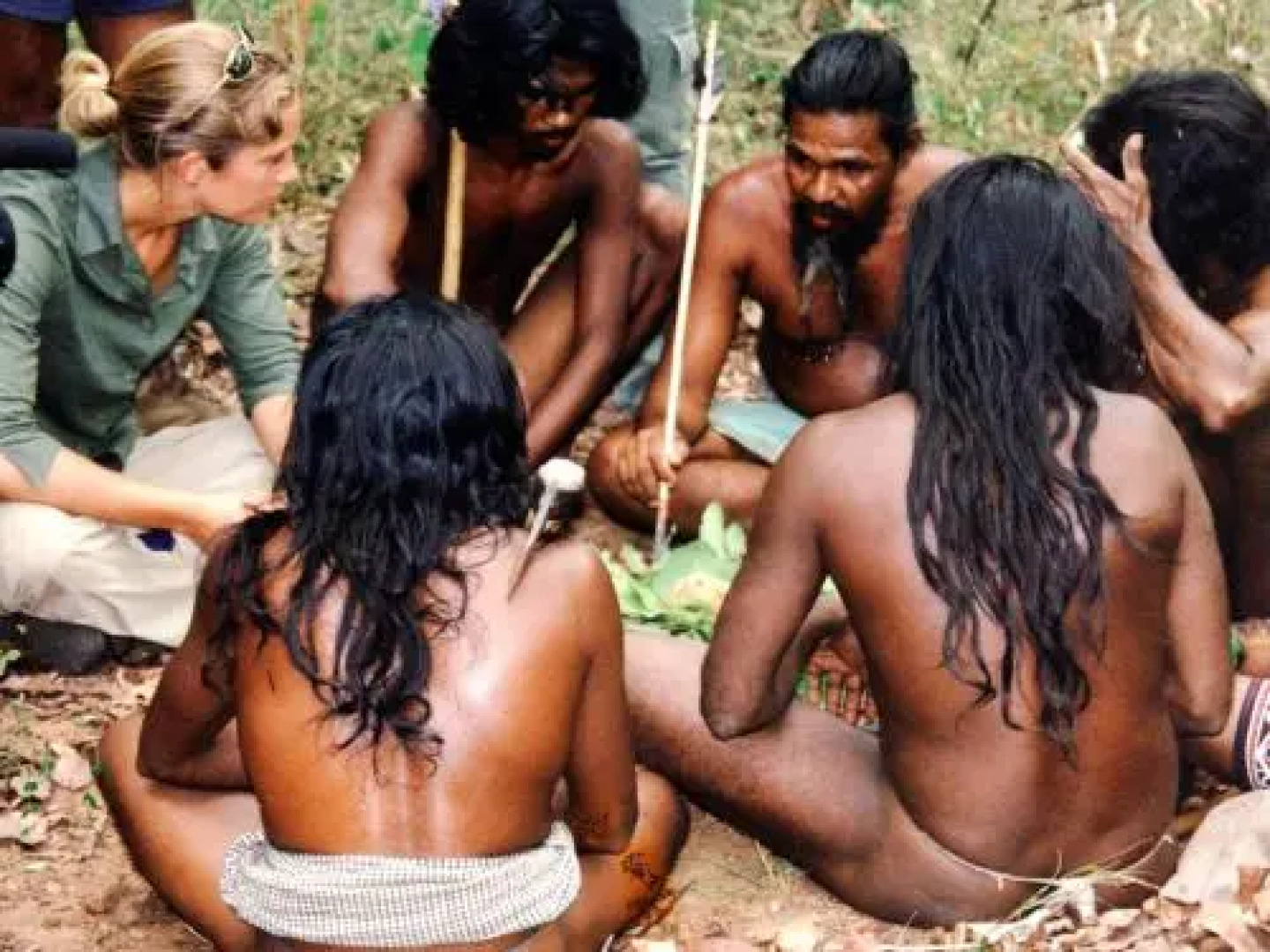 Mahoora Explorer - Dambana by Eco Team