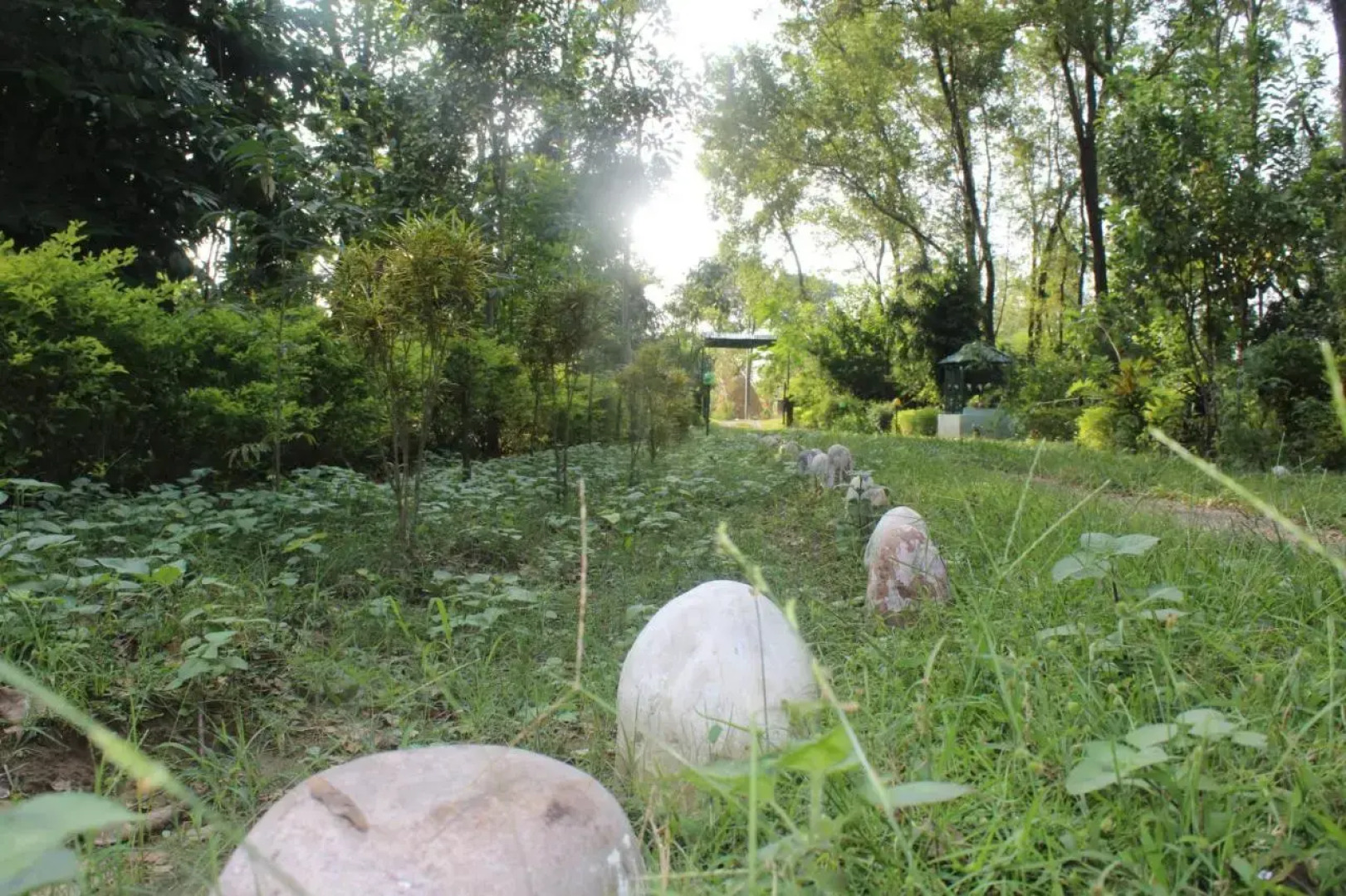 Suklaphanta Jungle Cottage