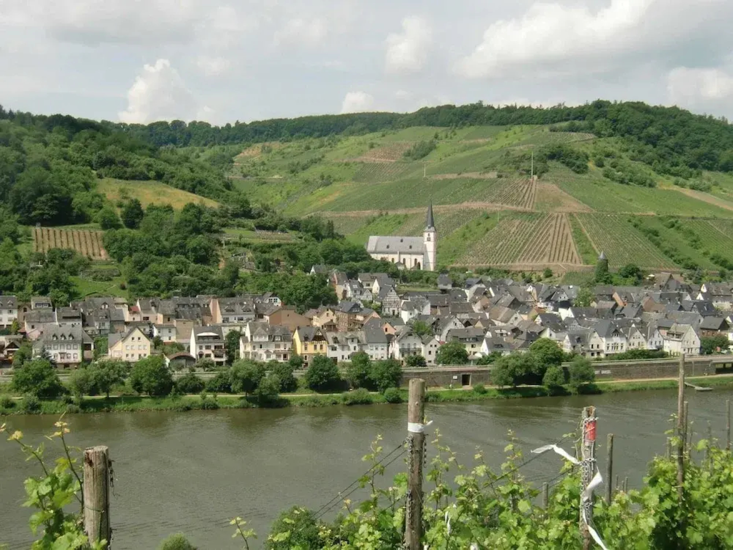 Spacious Holiday Home in Briedel Near River Mosel