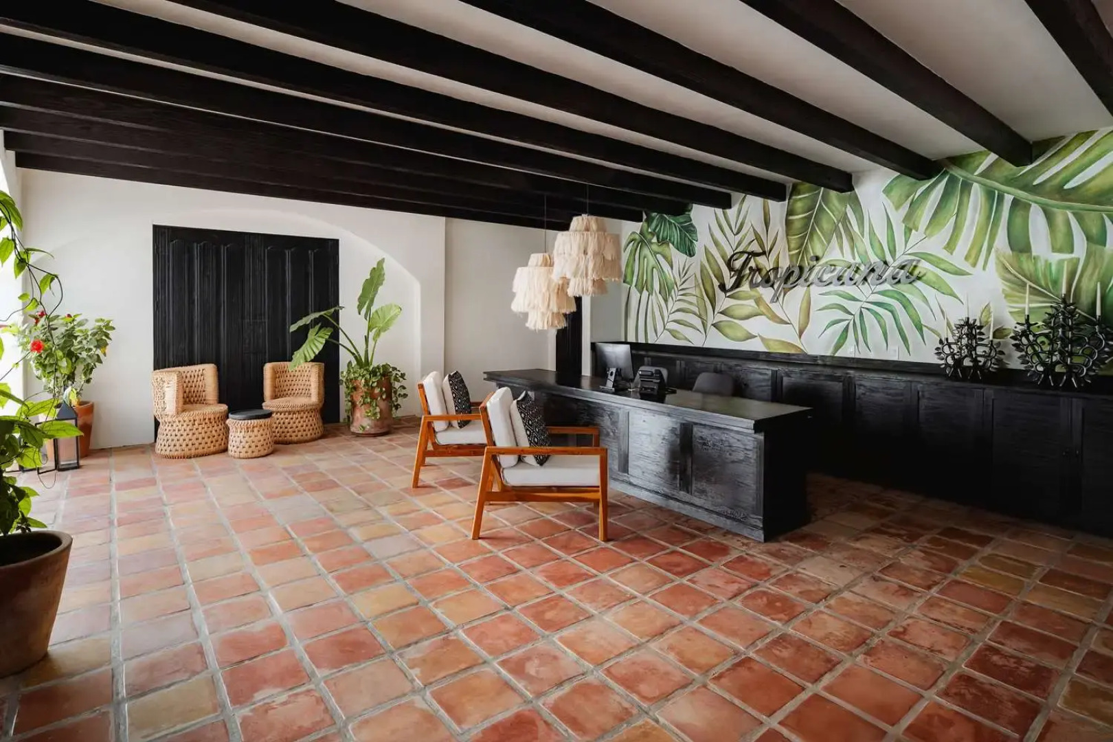 Tropicana Los Cabos, Tapestry Collection by Hilton