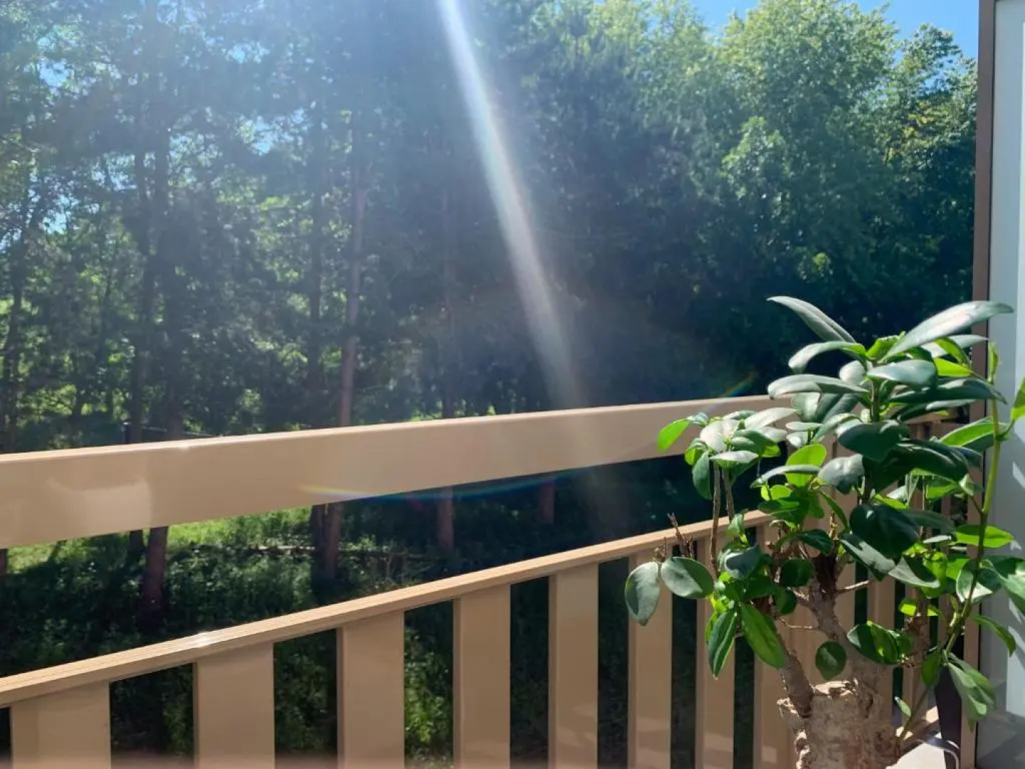 Apt. Neuf a 50m du Port - Parking Prive, Ascenseur