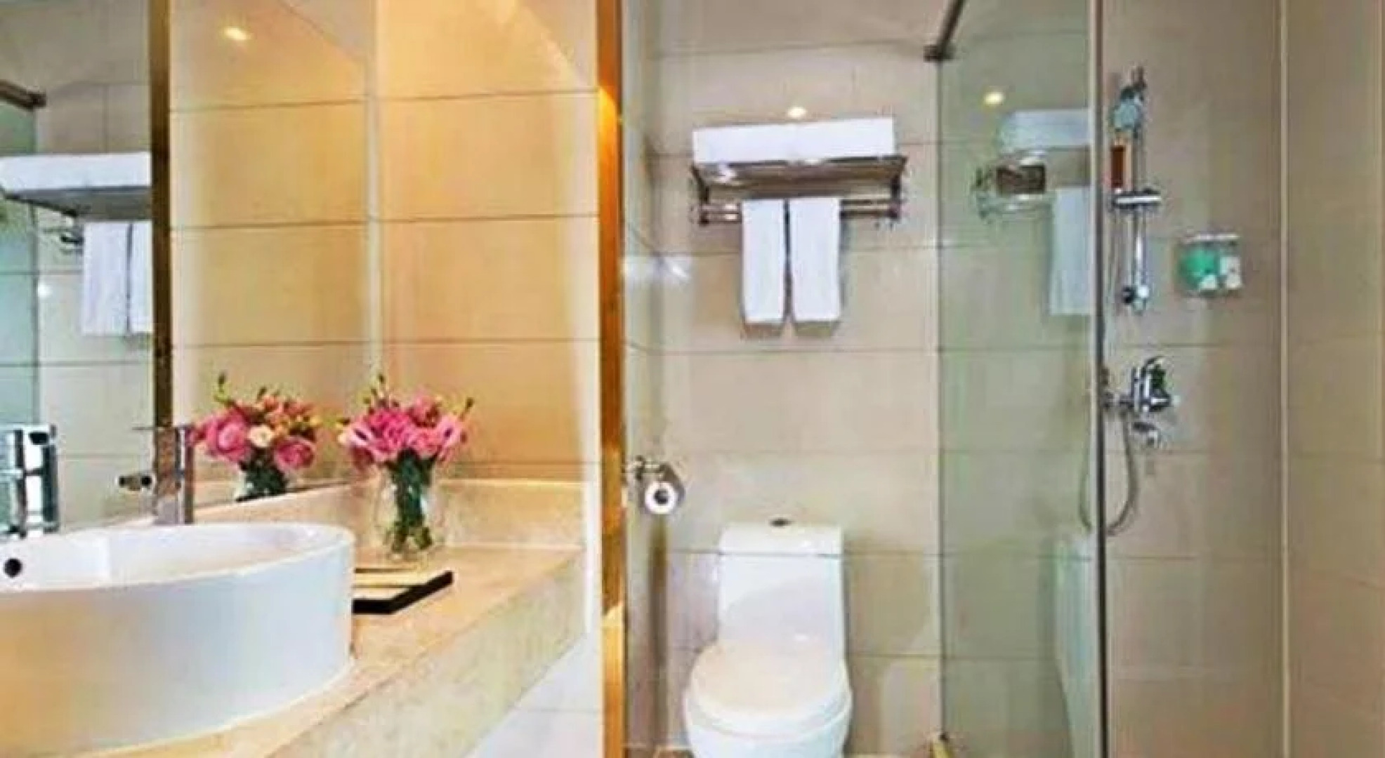 Vienna Hotel Heyuan Hongxing Road Branch