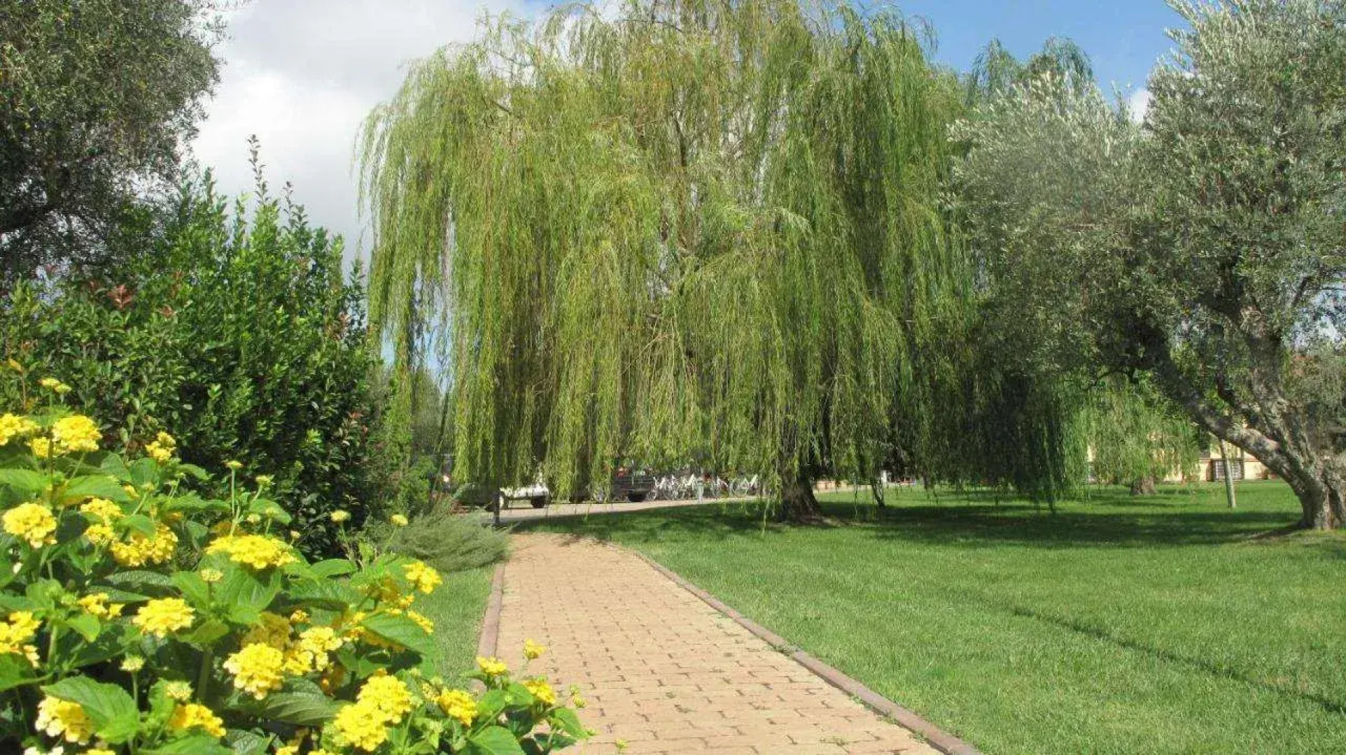 Agriturismo Podere Turicchio