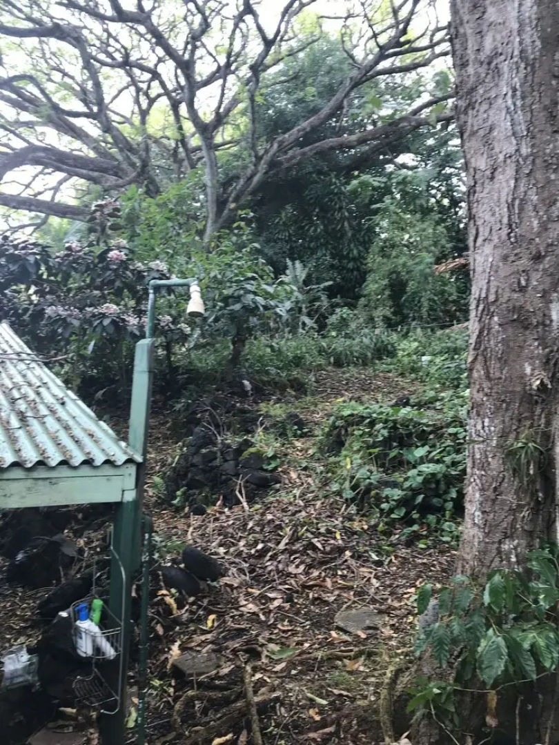 SweetSpotStay-Enchanted Grotto