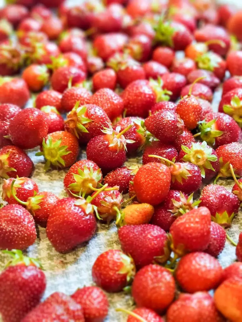 The Lamplighter Bed & Breakfast of Ludington