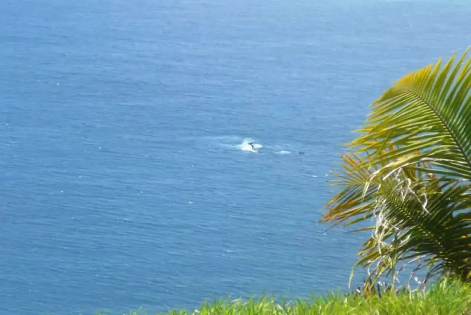 TAHITI - Villa Miti Natura