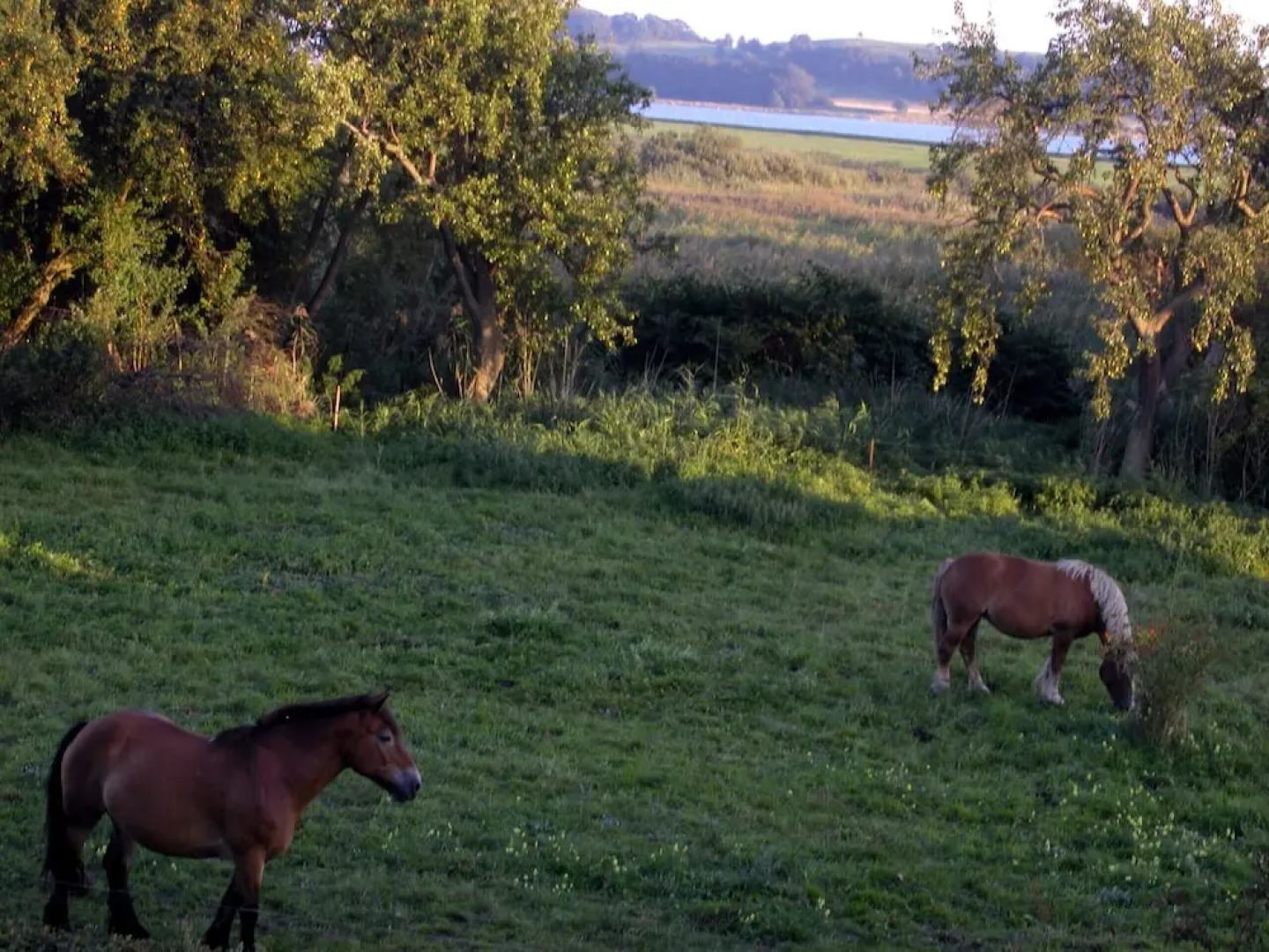 Ferienwohnungen Boddenstraße 55b