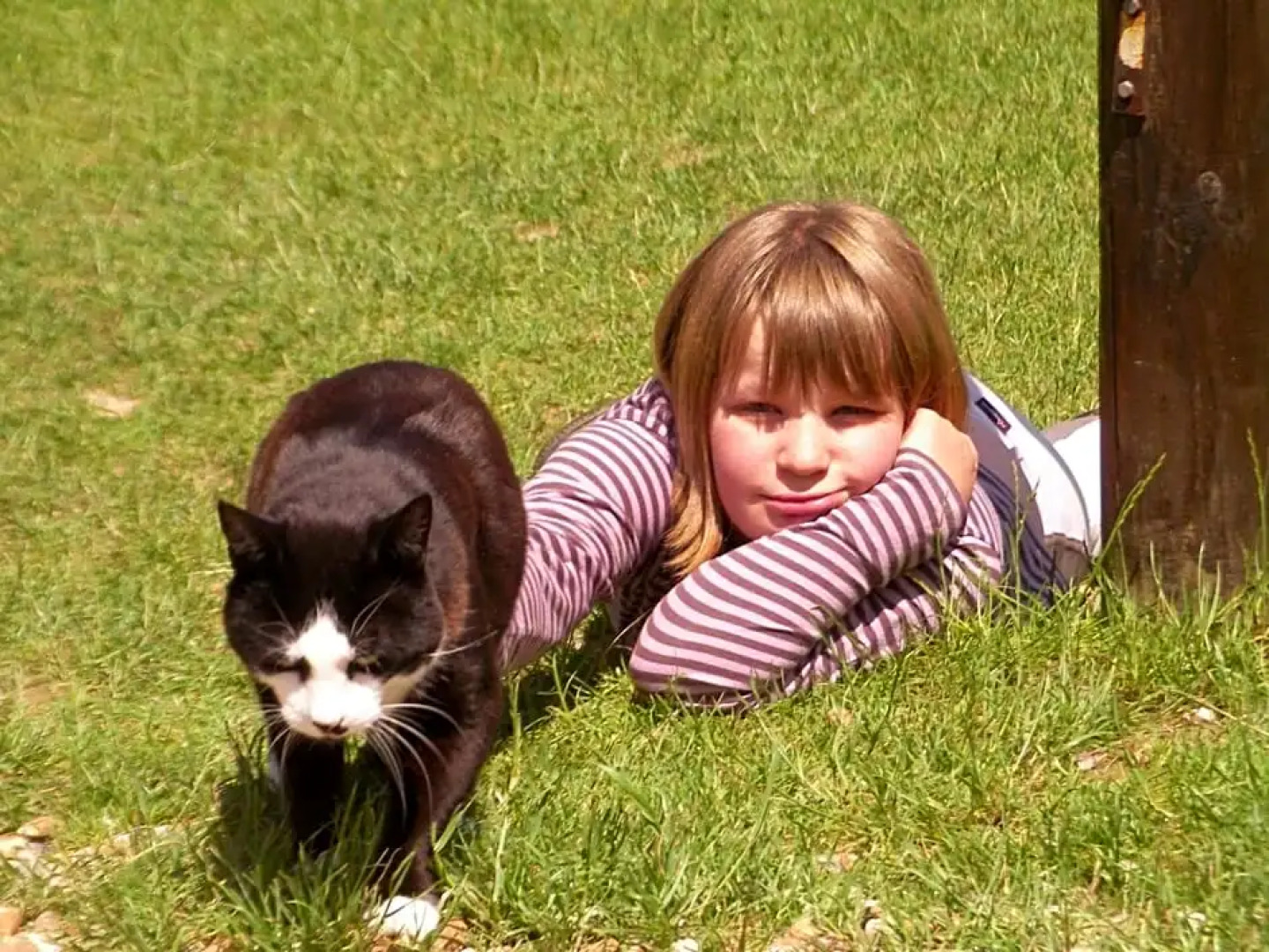 Chambres dHôtes La Ferme aux Escargots