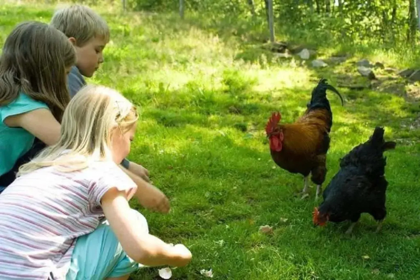 Kinderparadies Habernberger Hof