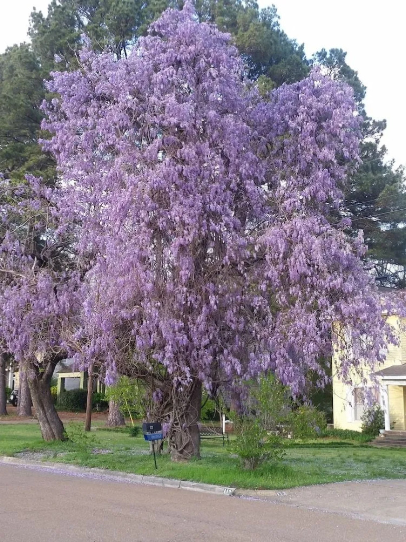 Spahn House Bed and Breakfast