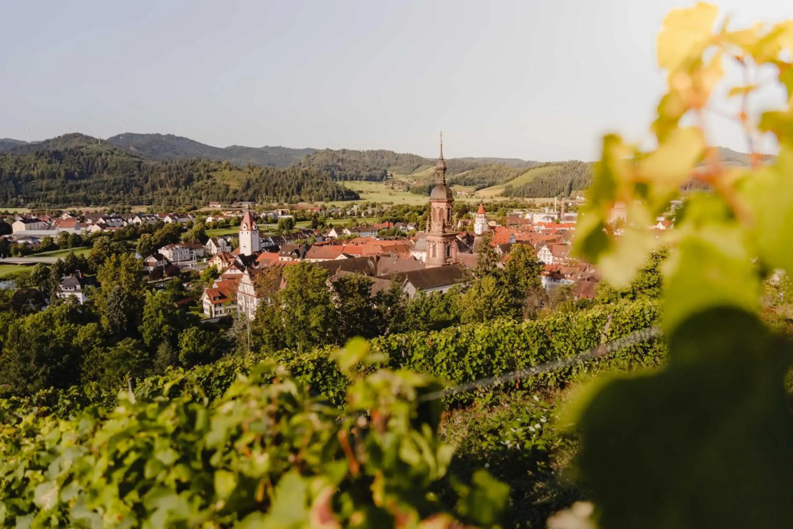 Holzerhof-Ferienwohnungen