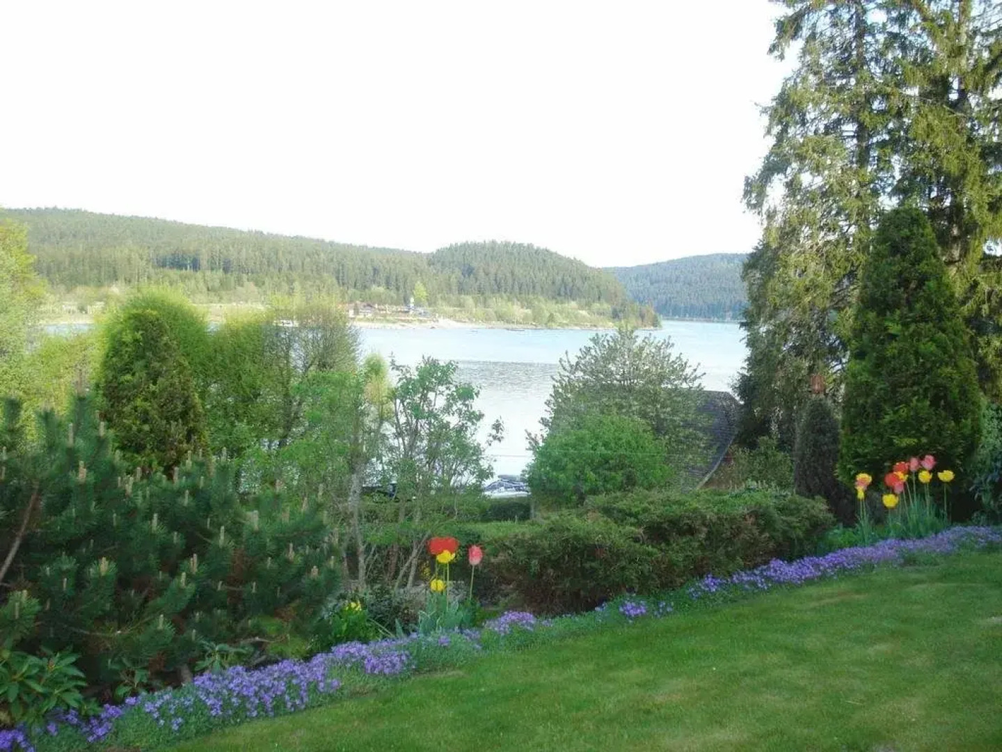 Sunside Wellness-Oase Hotel Apartment's Schwarzwald am Schluchsee