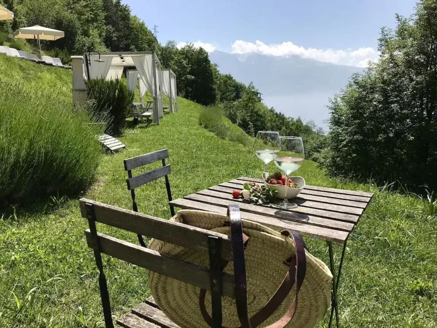 Borgo le Vigne - La Vinaccia