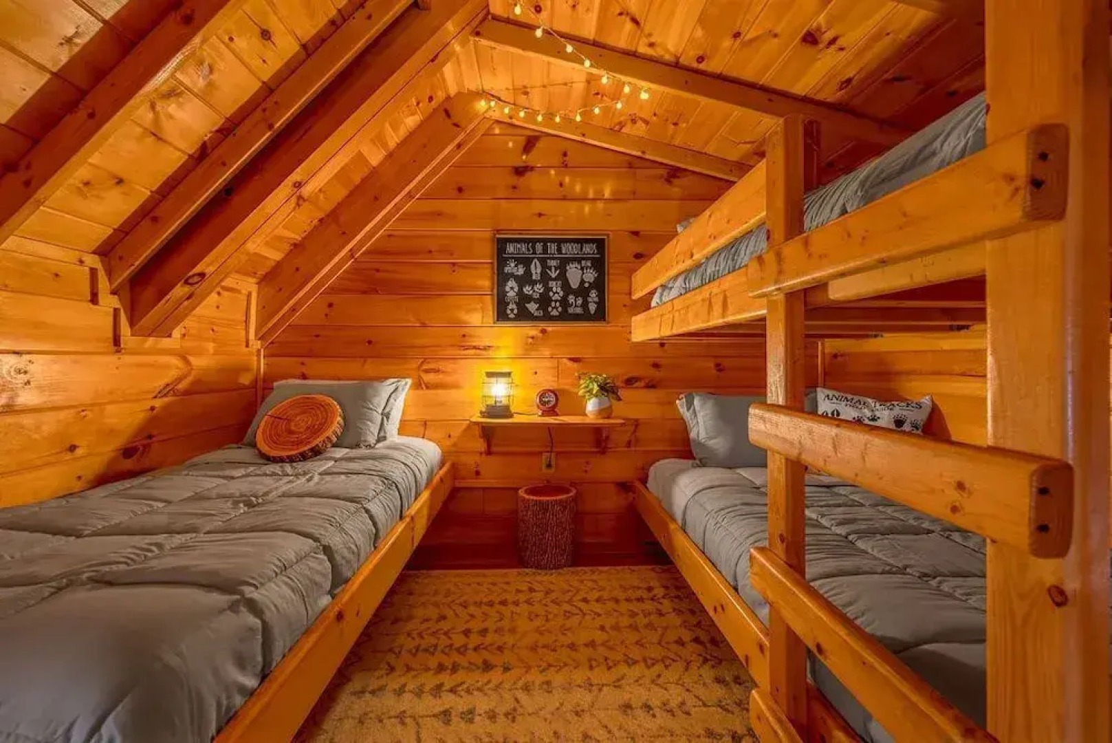 Playhouse Cinema - Four Bedroom Cabin