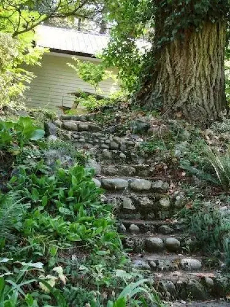 Cabins and Campground at Cultus Lake Park