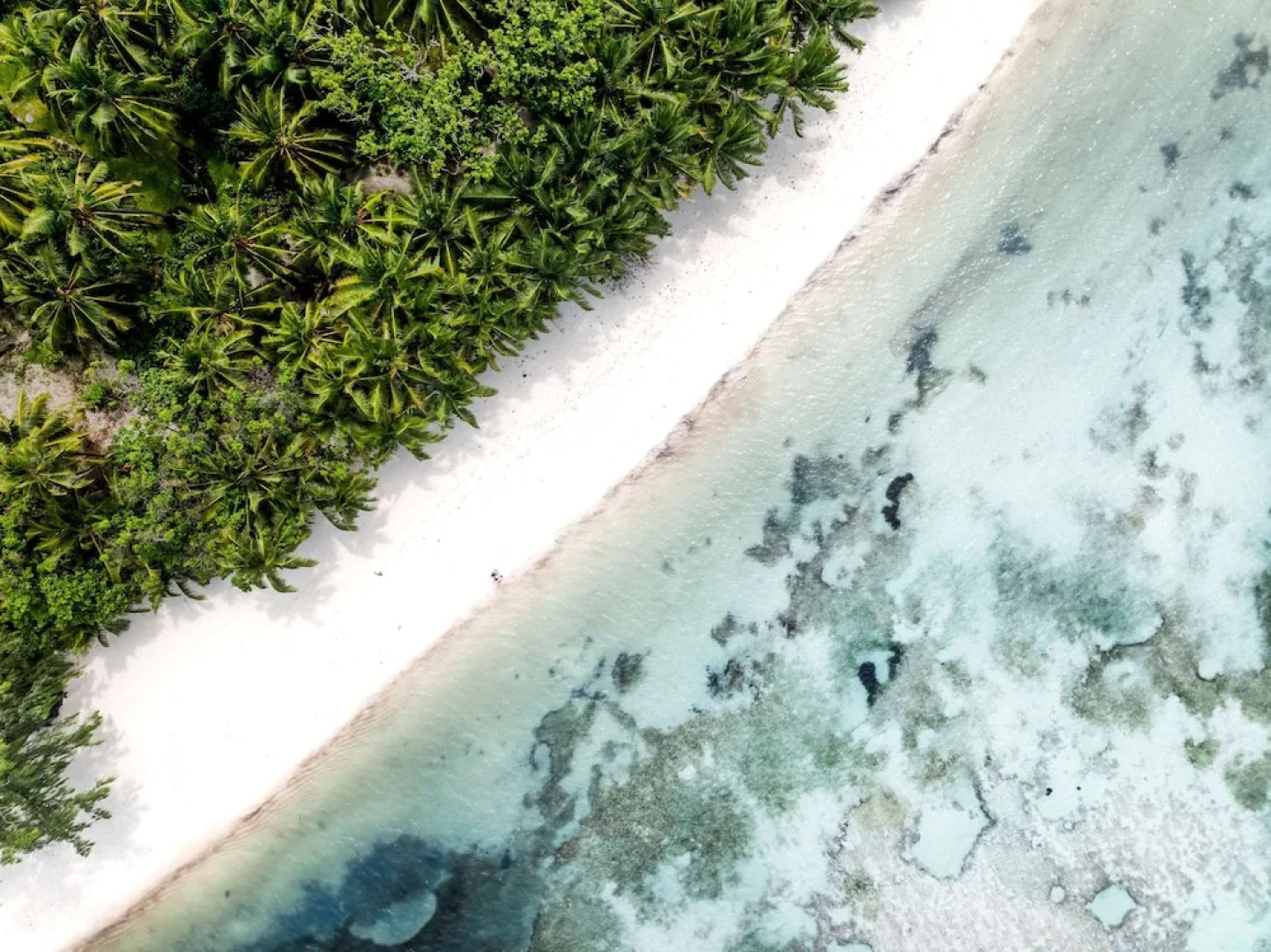 Waldorf Astoria Seychelles Platte Island