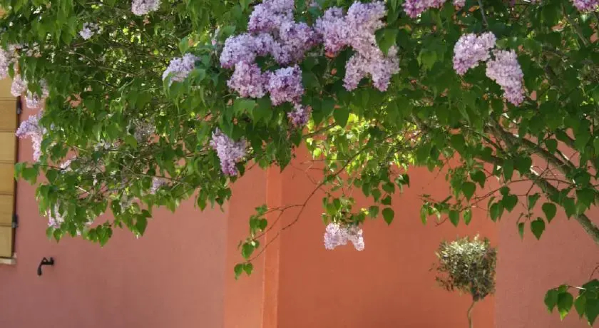 Agriturismo La Morla