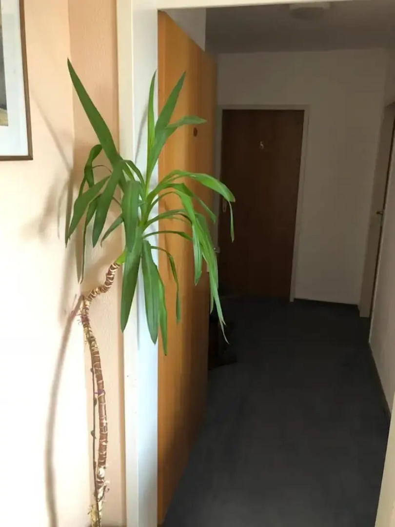 Hotel Junkerhaus