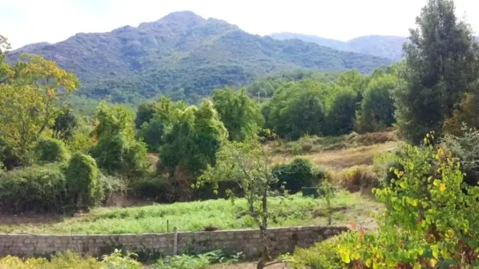Apartment With 3 Bedrooms in Bocognano, With Wonderful Mountain View,