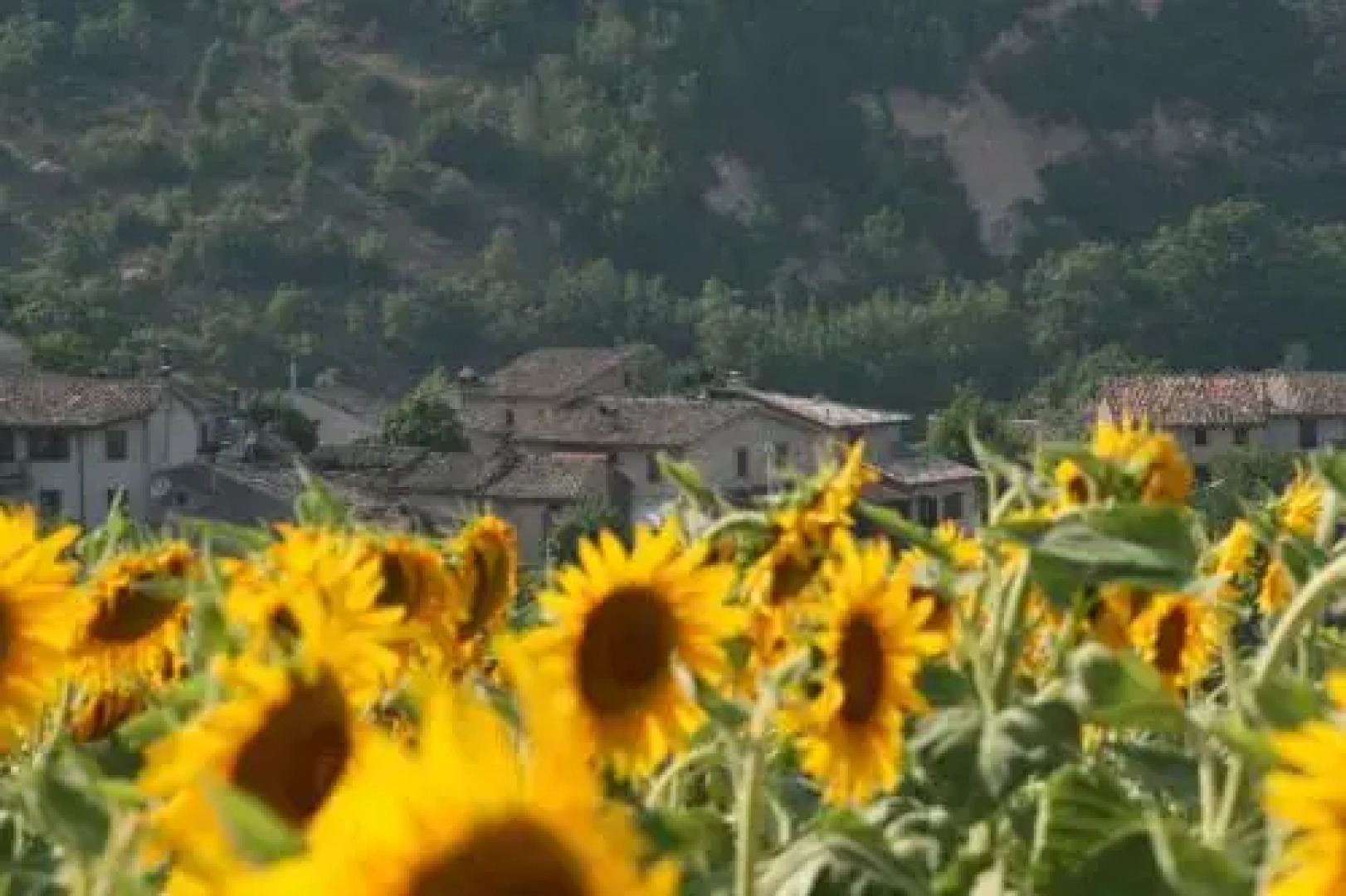 La Sorgente Del Sole